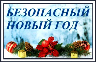 Безопасный Новый год Безопасный Новый год.