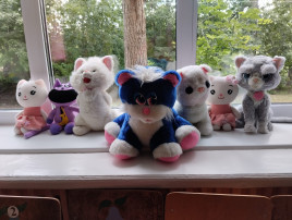 "День кошек" "День кошек".