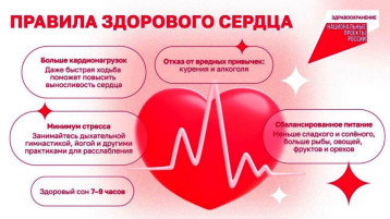 Правила здорового сердца Правила здорового сердца.