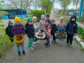 «Посадка цветов» «Посадка цветов».