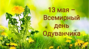 «Всемирный день одуванчика» «Всемирный день одуванчика».
