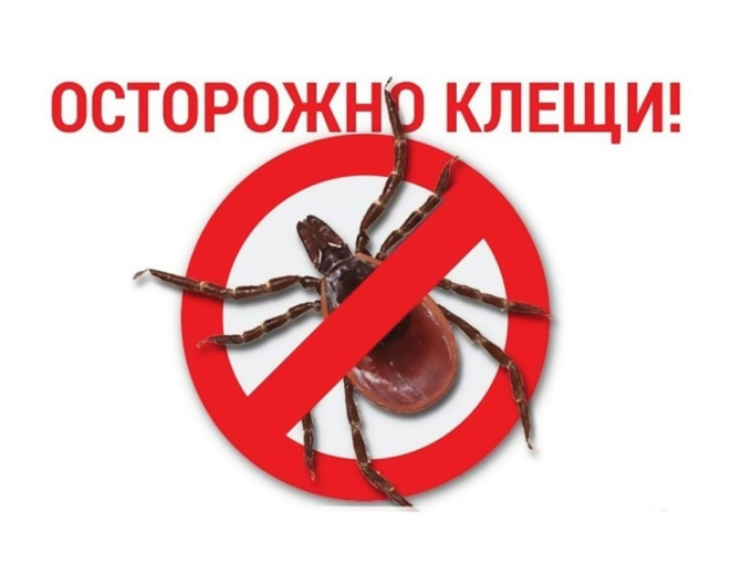 Осторожно, клещи! Осторожно, клещи!.